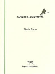 Taps de llum zenital